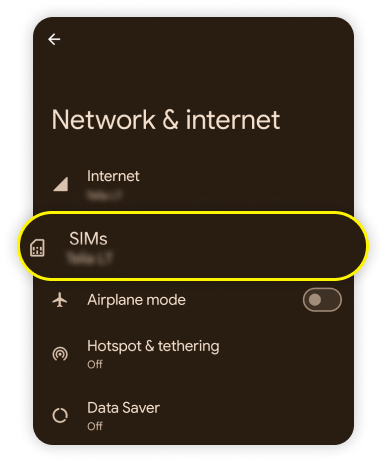 SIMs.png