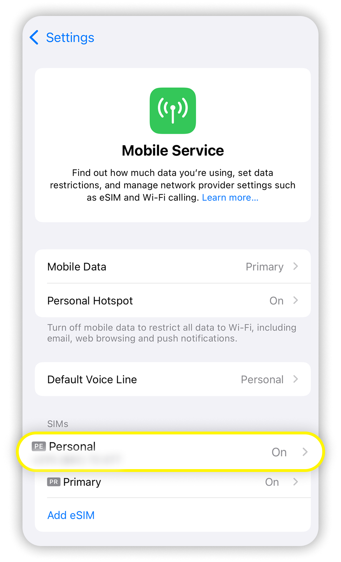 View of iOS mobile service settings, personal eSIM is highlighted.png
