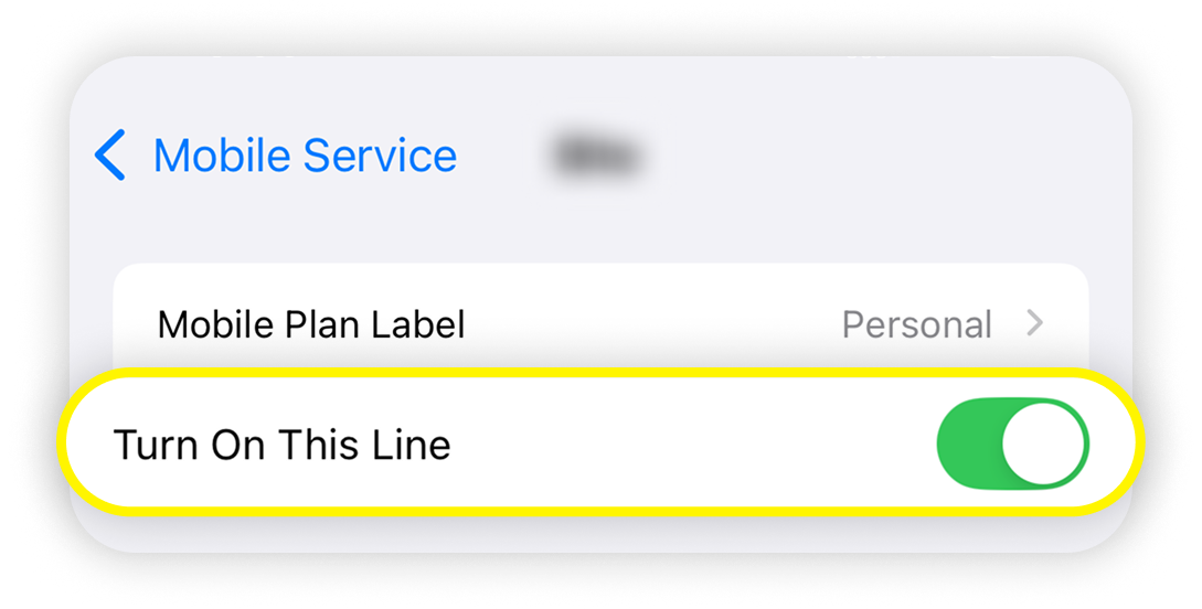 View of iOS personal SIM, turn on this line button is highlighted.png