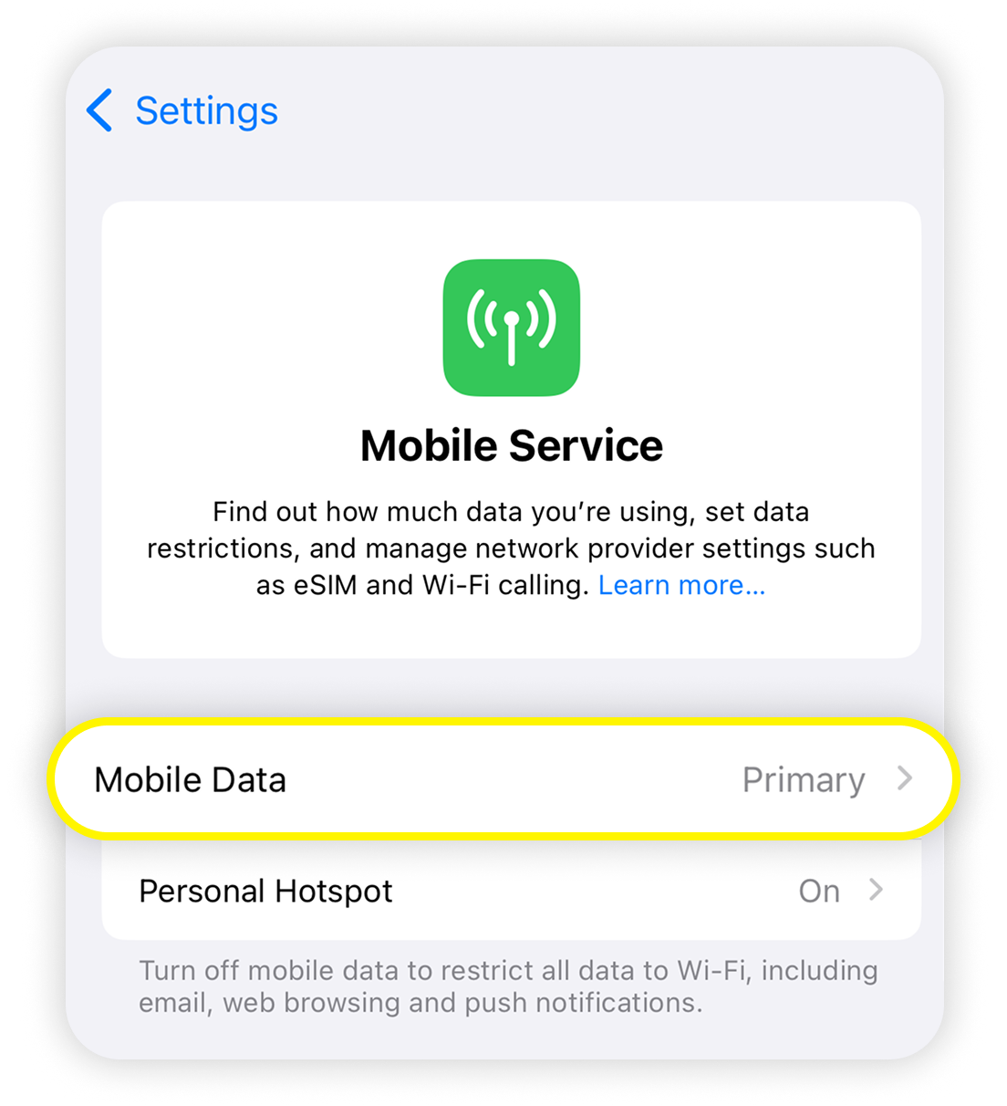 View of iOS mobile service settings, mobile data button is highlighted.png