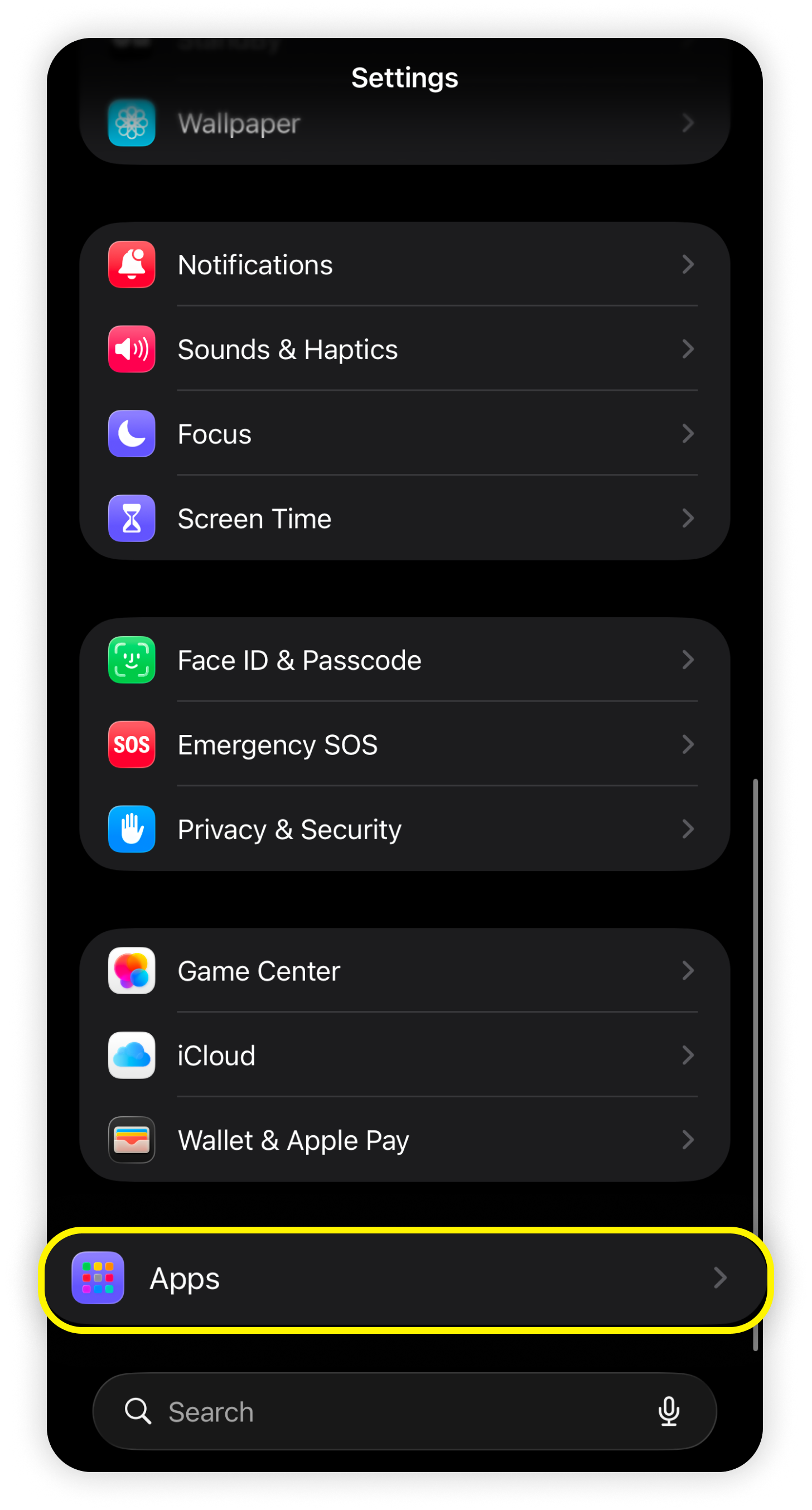Stránka Nastavení v iOS, zvýrazněno Aplikace