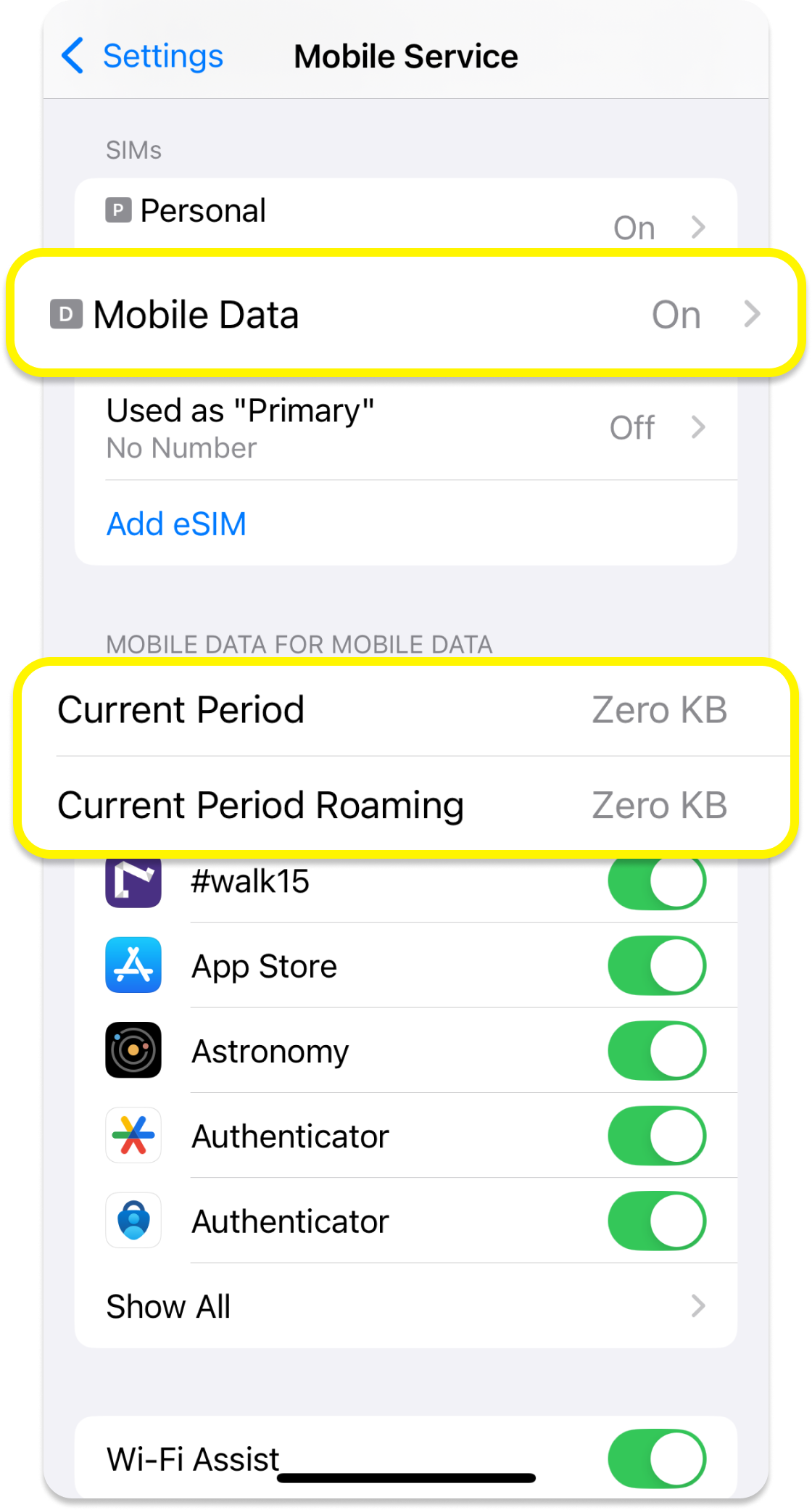 Nabídka nastavení iOS se zvýrazněnými mobilními daty, aktuálním obdobím a roamingem v aktuálním období