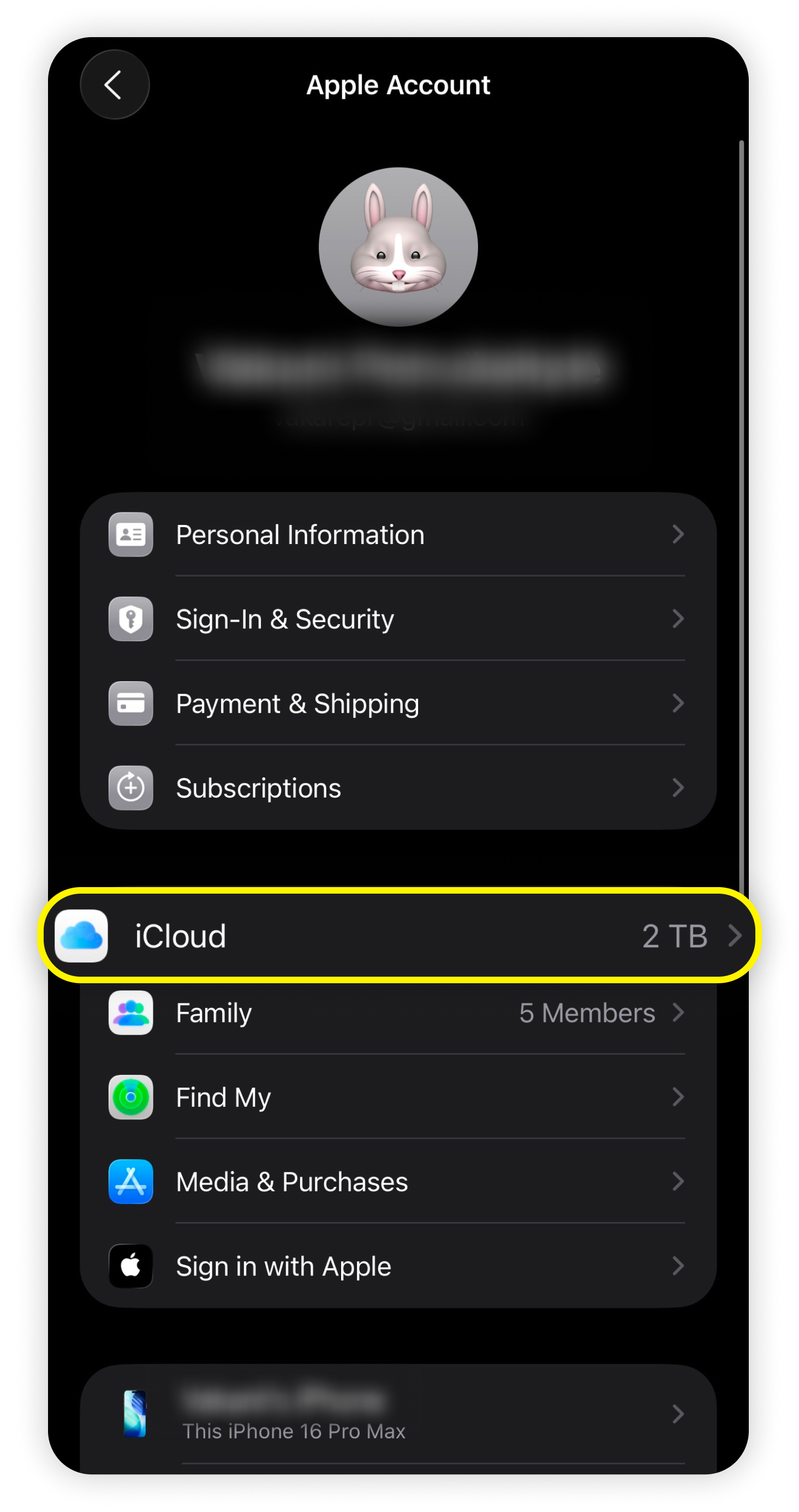 Profilseite mit hervorgehobener Schaltfläche iCloud