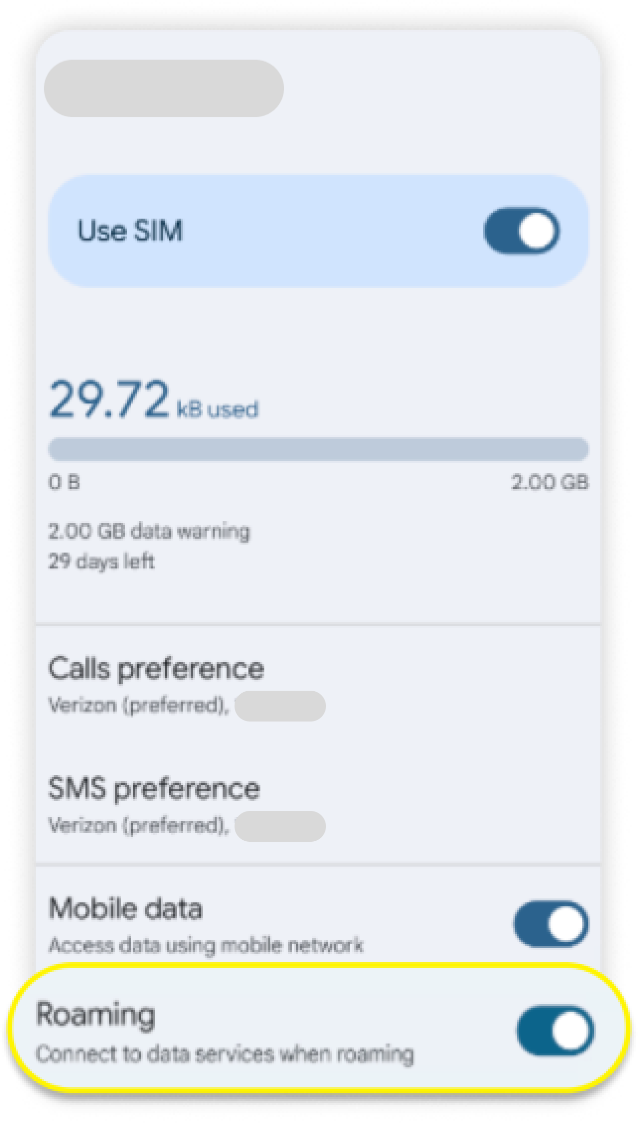 Página de eSIM con el Roaming habilitado y resaltado