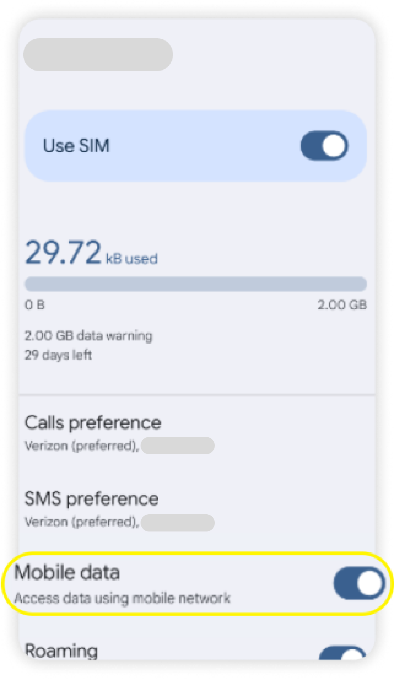 Pagina eSIM con Dati mobili abilitati ed evidenziati