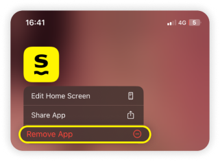 Pop-up de informações da aplicação com remover aplicação em destaque