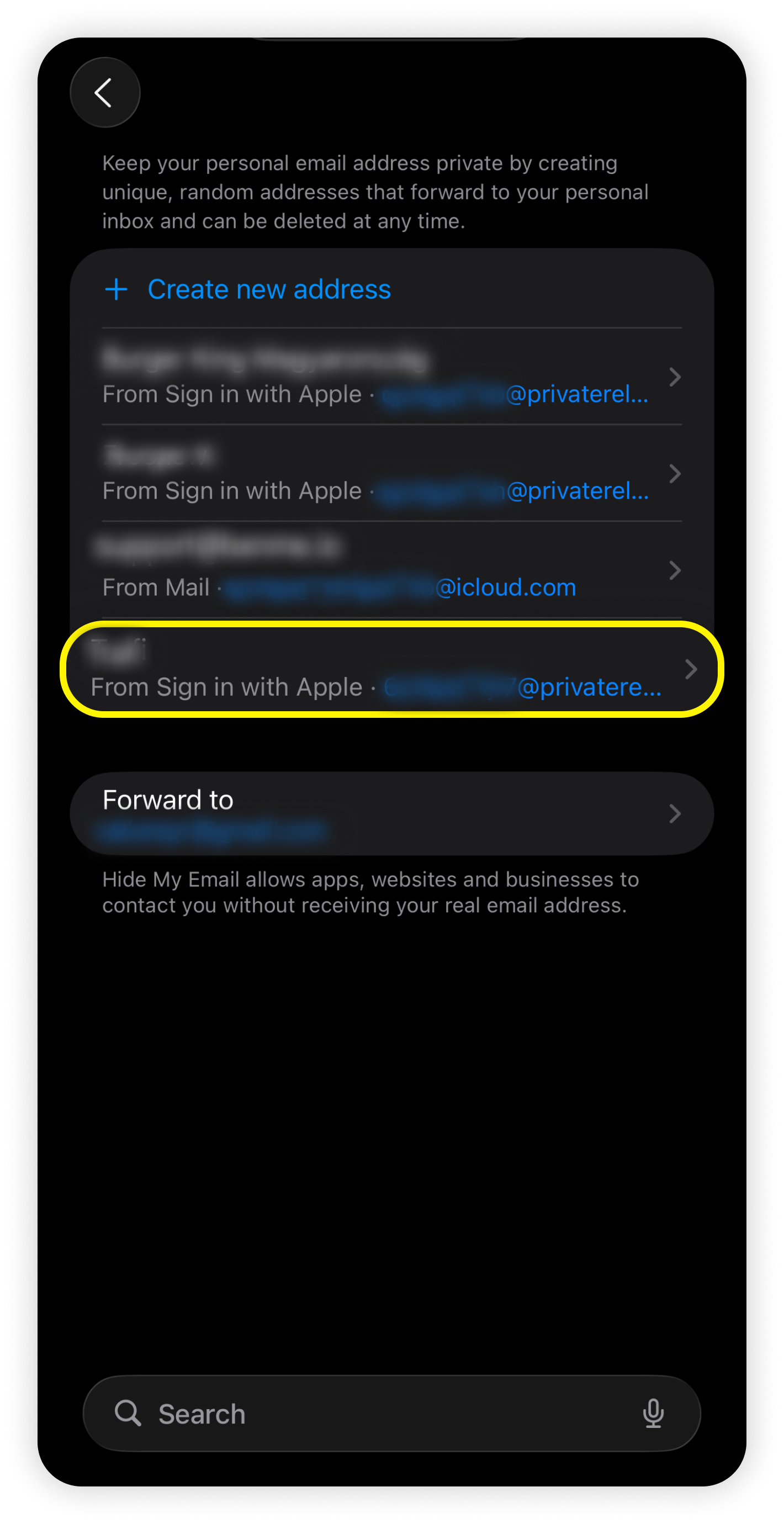 Apple Relay 電子郵件，其中 Saily 已醒目顯示