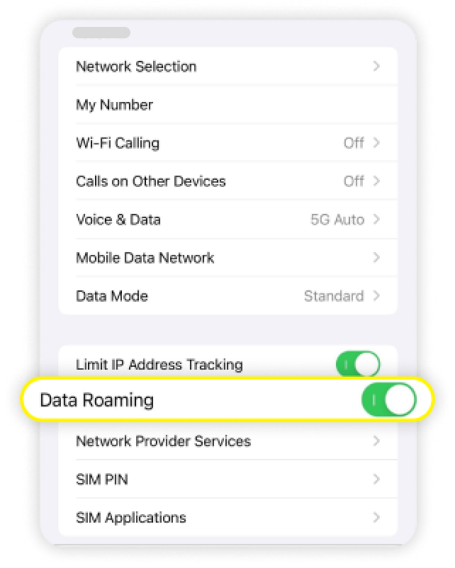 iOS 移动服务页面，其中数据漫游已启用并已突出显示